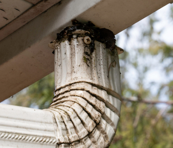 Roof Plumbers Sydney